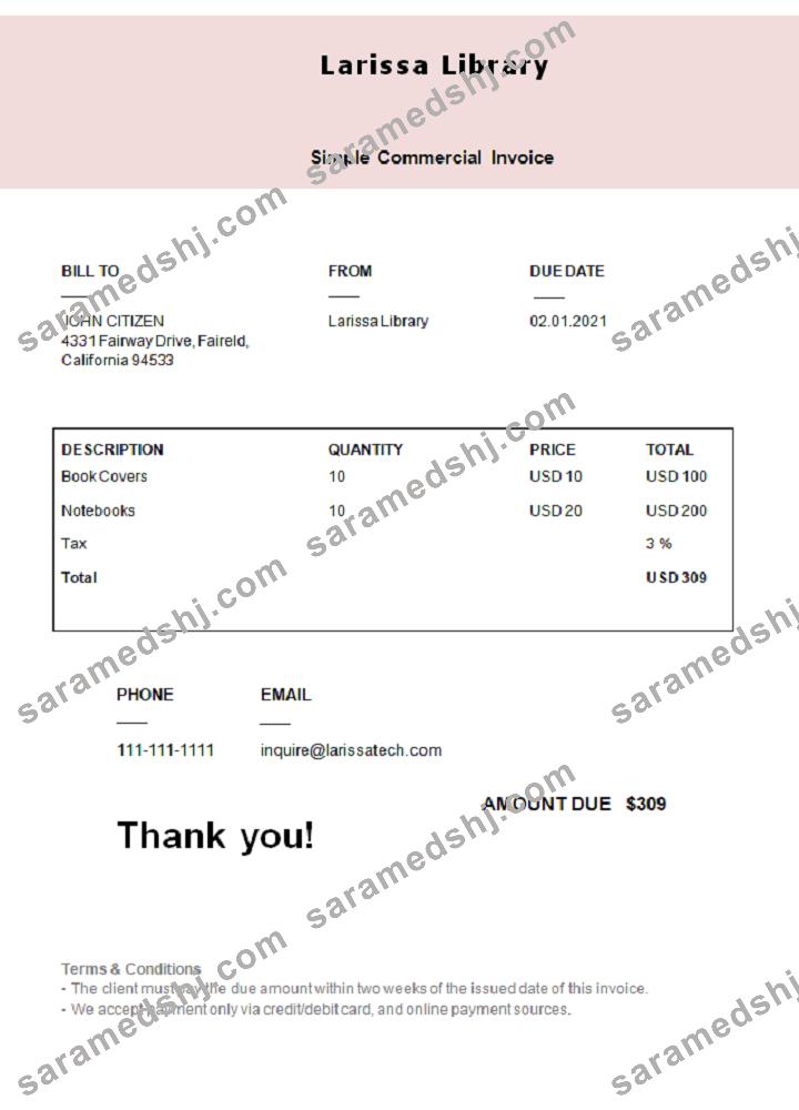 USA Larissa Library invoice